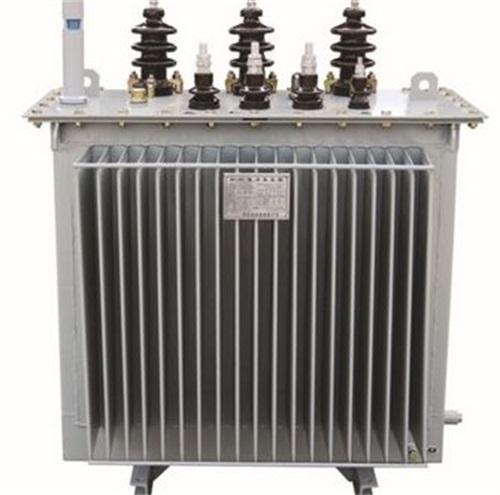 安顺S11-35KV/10KV/0.4KV油浸式变压器